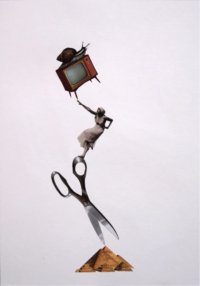 Balancing Act (Snail), Collage